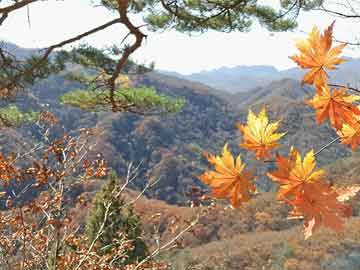 中元节风俗有哪些，中元节的传统习俗？